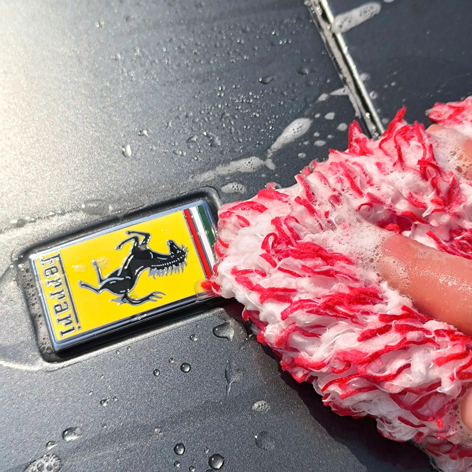 Ferrari-Emblem wird mit einem eingeschäumten Waschhandschuh gereinigt
